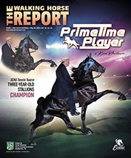 Home | The Walking Horse Report