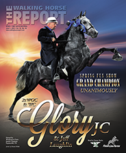 Home | The Walking Horse Report