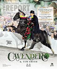 Home The Walking Horse Report