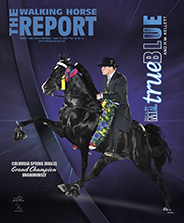 home-the-walking-horse-report