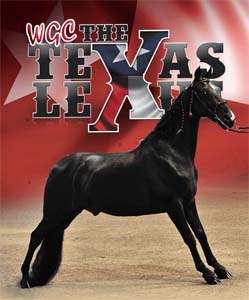 Home | The Walking Horse Report