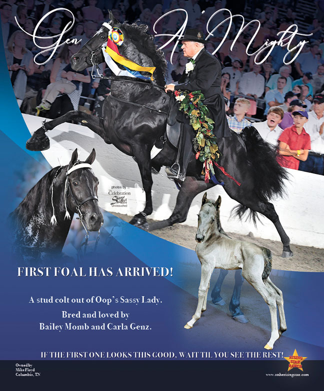 Walking Horse Report Calendar Customize And Print