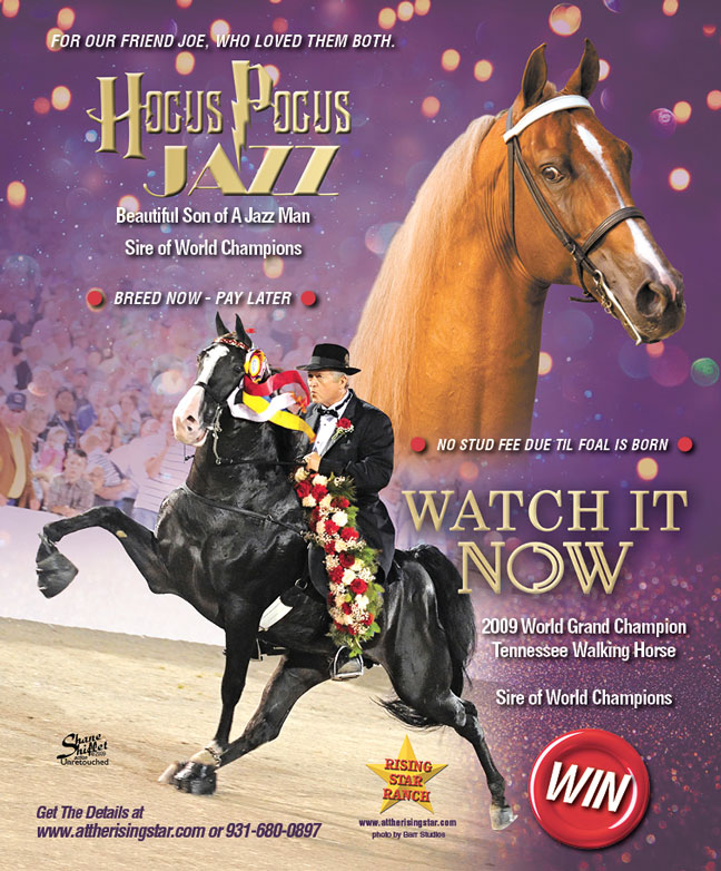 Walking Horse Report Calendar Customize And Print