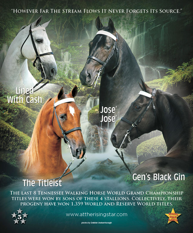 Walking Horse Report Calendar Customize And Print