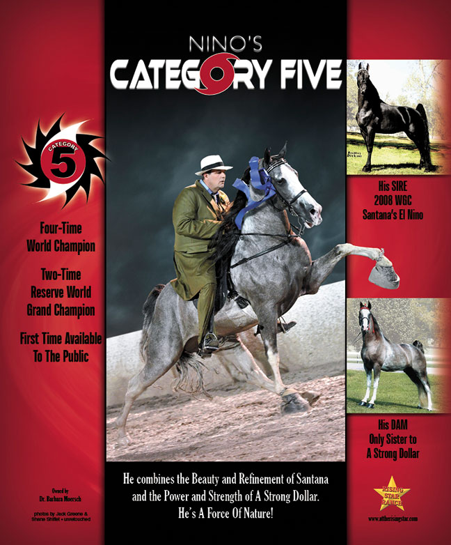 Walking Horse Report Calendar Customize And Print