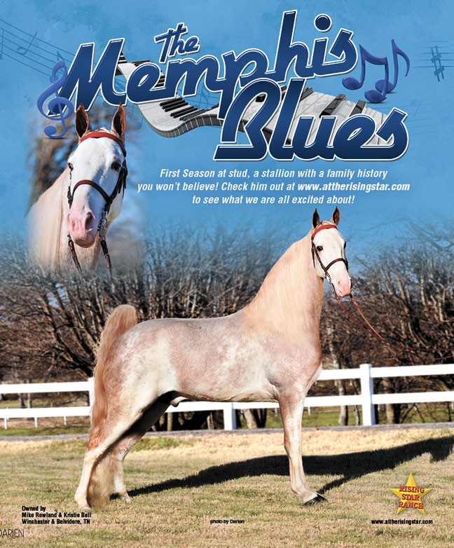 Walking Horse Report Calendar Customize And Print