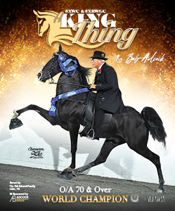 Home | The Walking Horse Report Home | The Walking Horse Report
