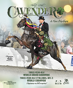 Home | The Walking Horse Report